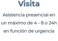 Visita Asistencia presencial en  un máximo de 4 - 8 o 24h en función de urgencia