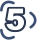 5 5