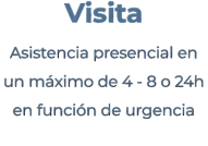Visita Asistencia presencial en  un máximo de 4 - 8 o 24h en función de urgencia